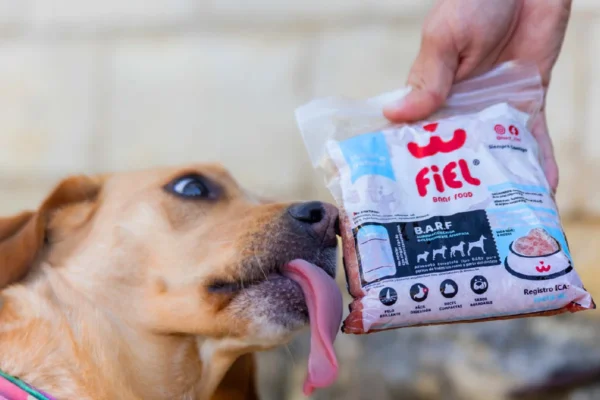 Beneficios de la dieta B.A.R.F. para perros y gatos