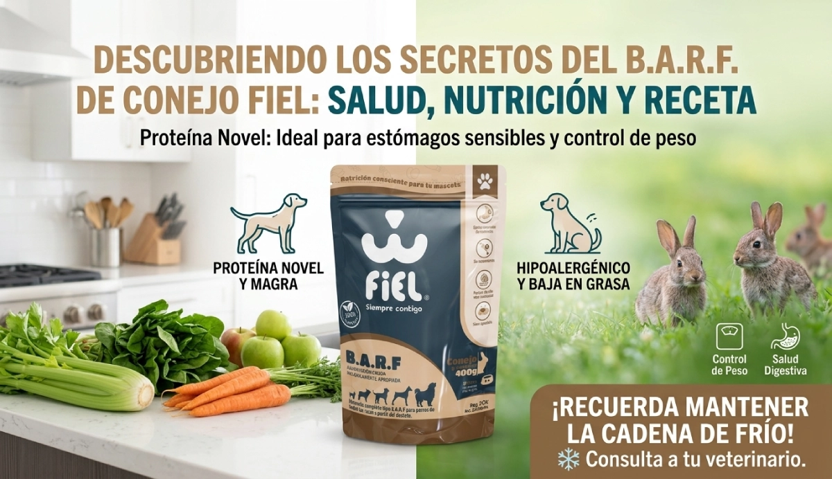 barf de conejo para perros